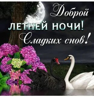 Летнее красивое спокойной ночи