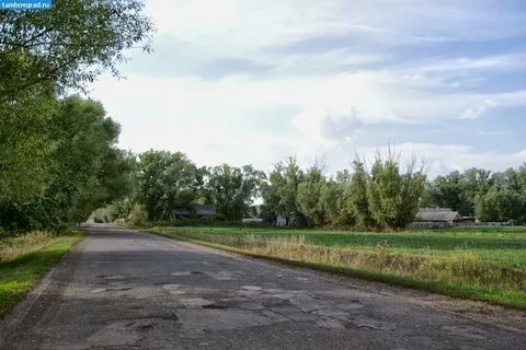 Погода в новоюрьеве