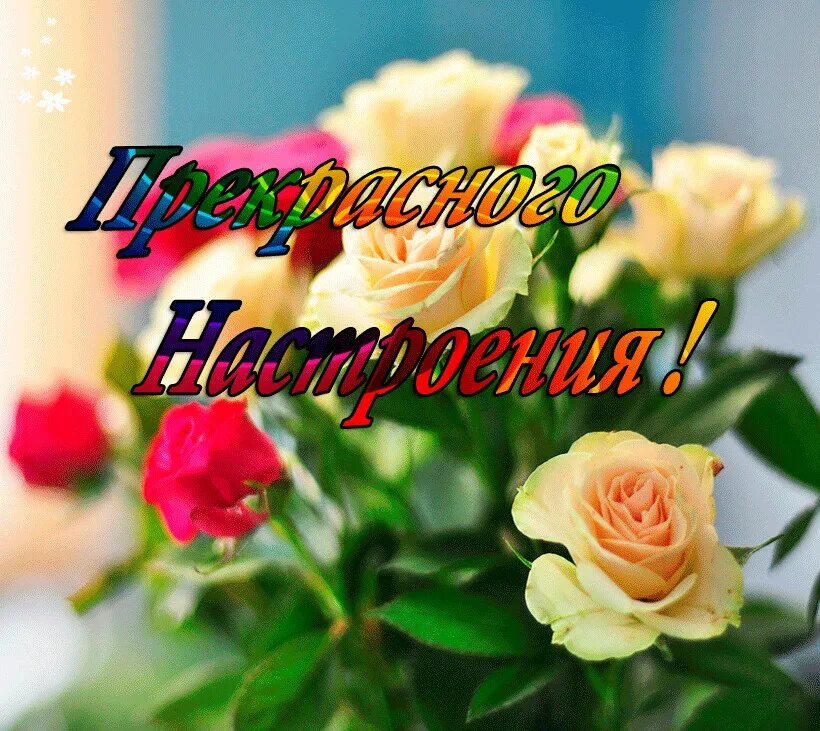 Открытка цветы хорошего дня и настроения