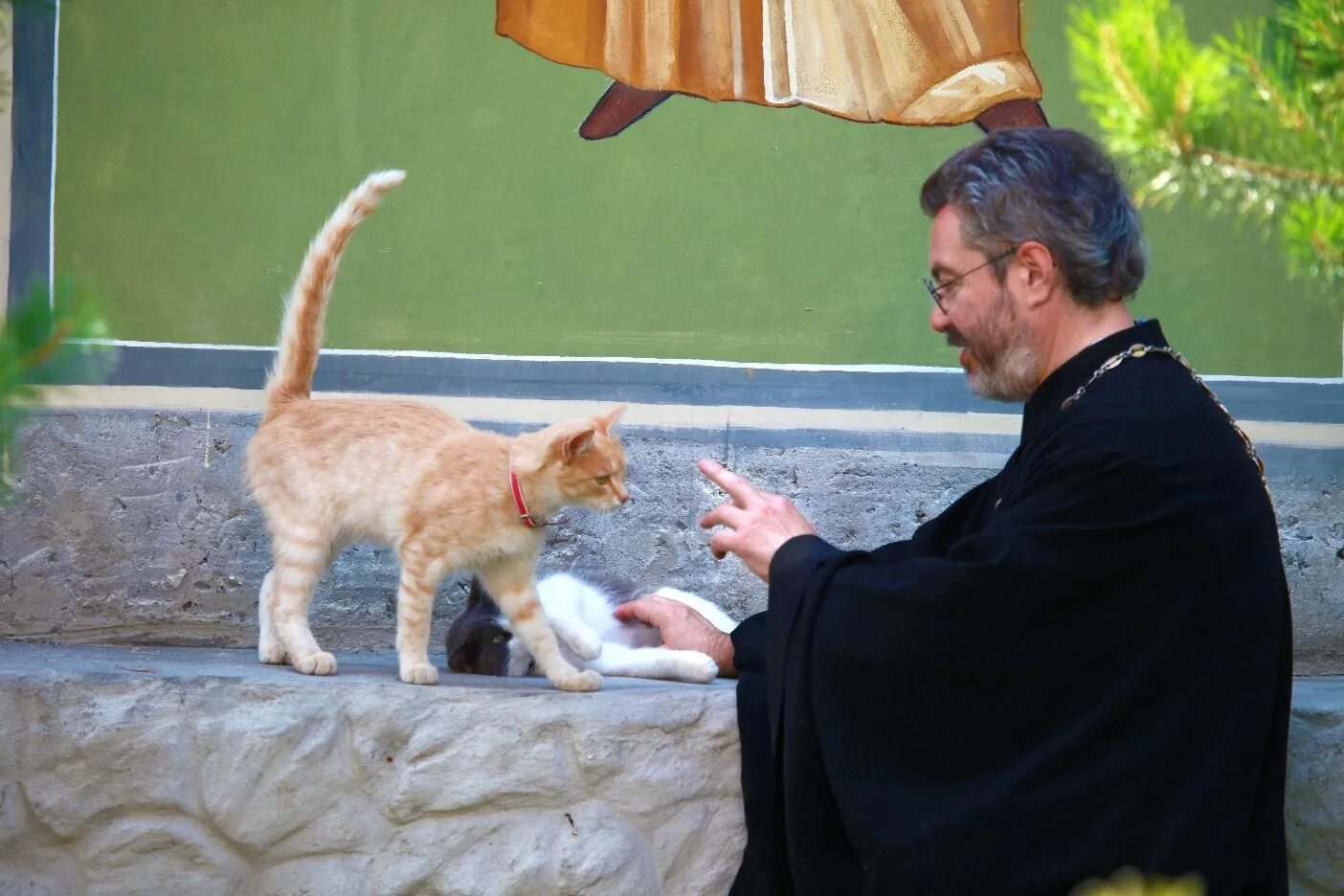 Кошки в монастырях. Собака священник. Коты в монастыре. Как церковь относится к большой любви людей к кошкам. Протоиерей петр дынников.