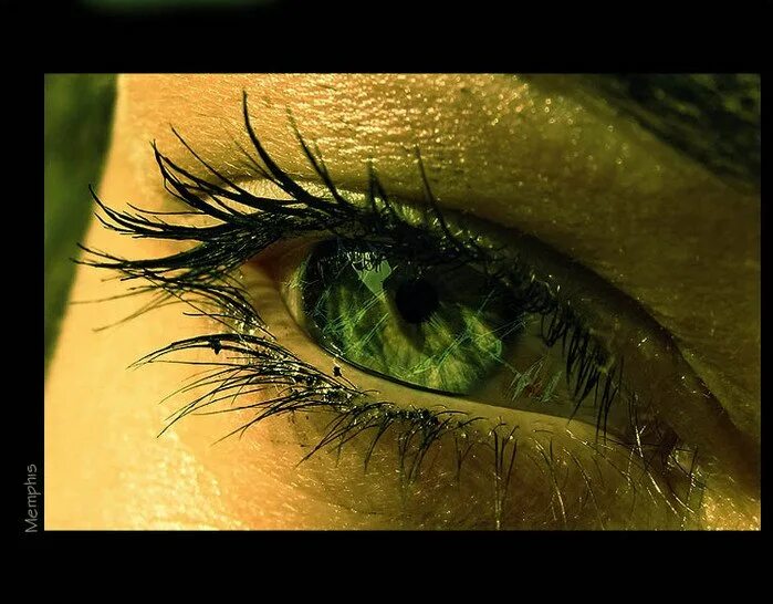 Темно зеленые глаза. Глаз зеленый глаз. Зеленые глаза картинки. Очень красивые зеленые глаза.