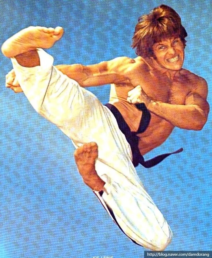 брюс ли 1992. лорен аведон король кикбоксеров. брюс ли 90. билли блэнкс король кикбоксеров. путь дракона фильм 1972.