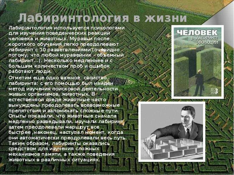 Лабиринт история 5. История лабиринтов в математике. лабиринт история происхождения. вывод презентации про лабиринты.