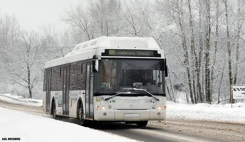 Колпино 364