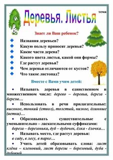 Тема деревья и кустарники в подготовительной группе
