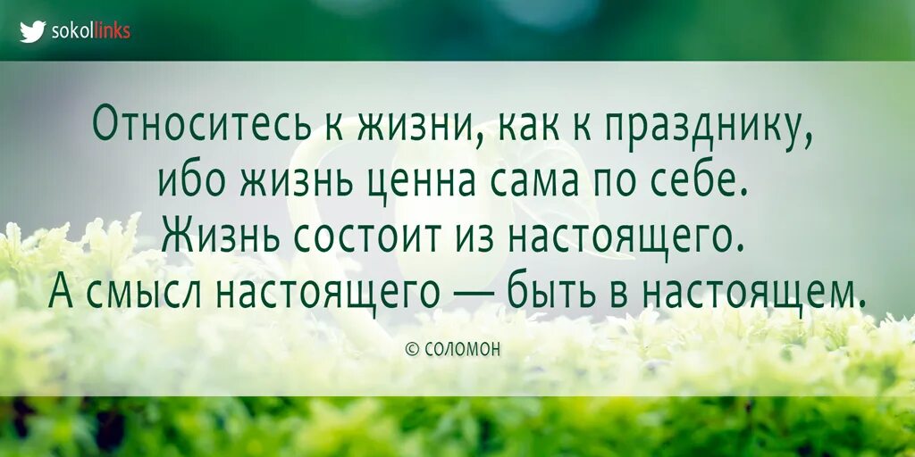 Нельзя относиться к жизни