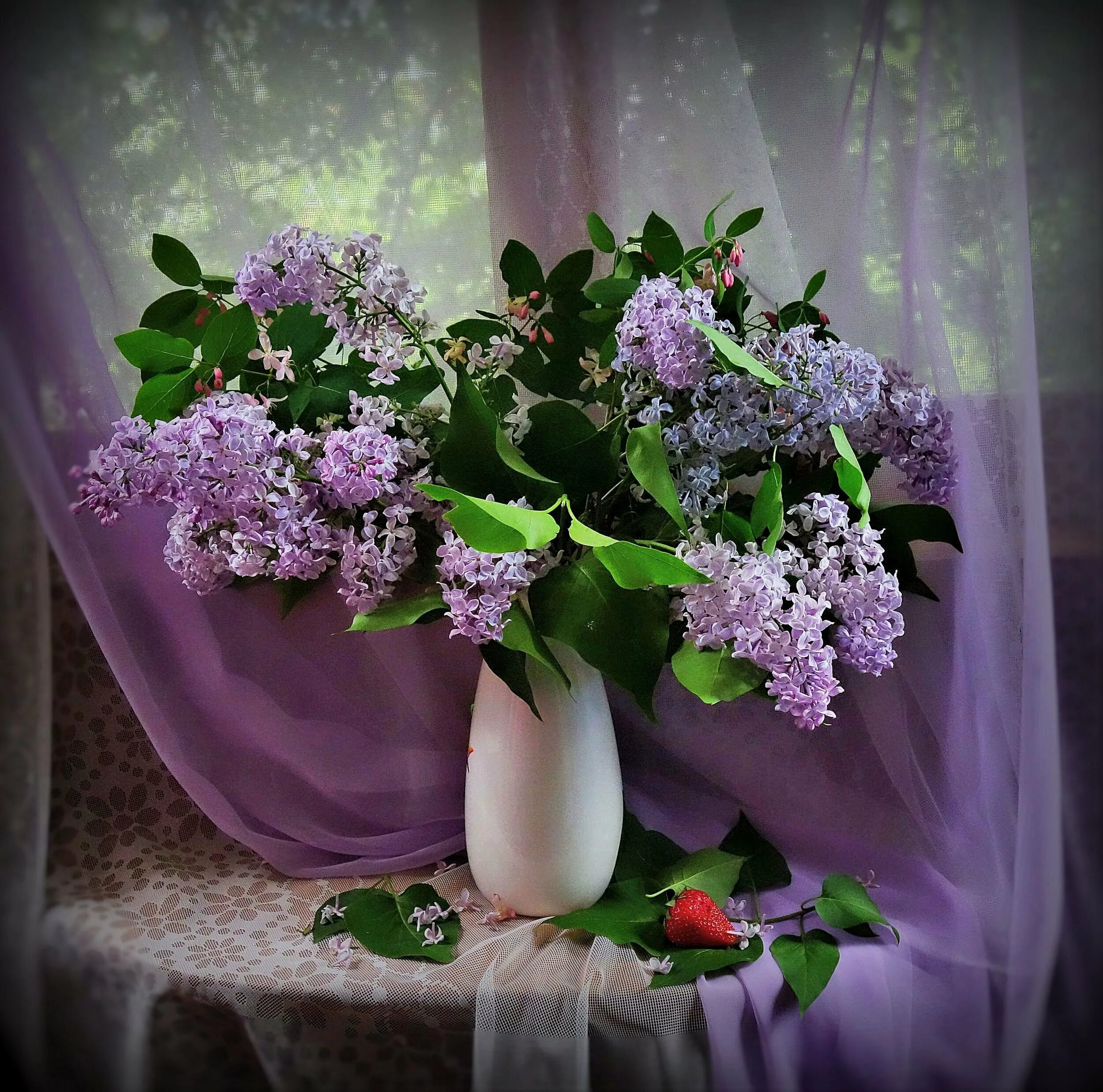 Доброго весеннего вечера. Доброго весеннего вечера и прекрасного настроения красивые. Чудесного вечерного вечера. Доброго весеннего вечера и прекрасного настроения красивые. Доброго весеннего вечера и прекрасного настроения красивые.