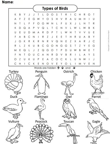 Birds Wordsearch. Задания по английскому тема птицы. Птицы на английском языке задания. Птицы задания для дошкольников.