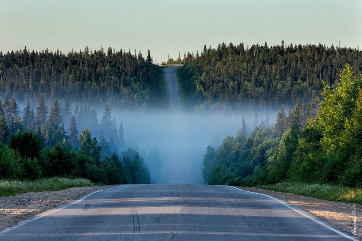 Дорога ведет в лес. Красивые дороги. Красивый вид дороги. Красивые дороги Урала.