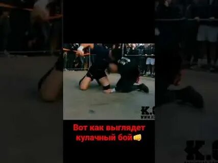 Драки жив