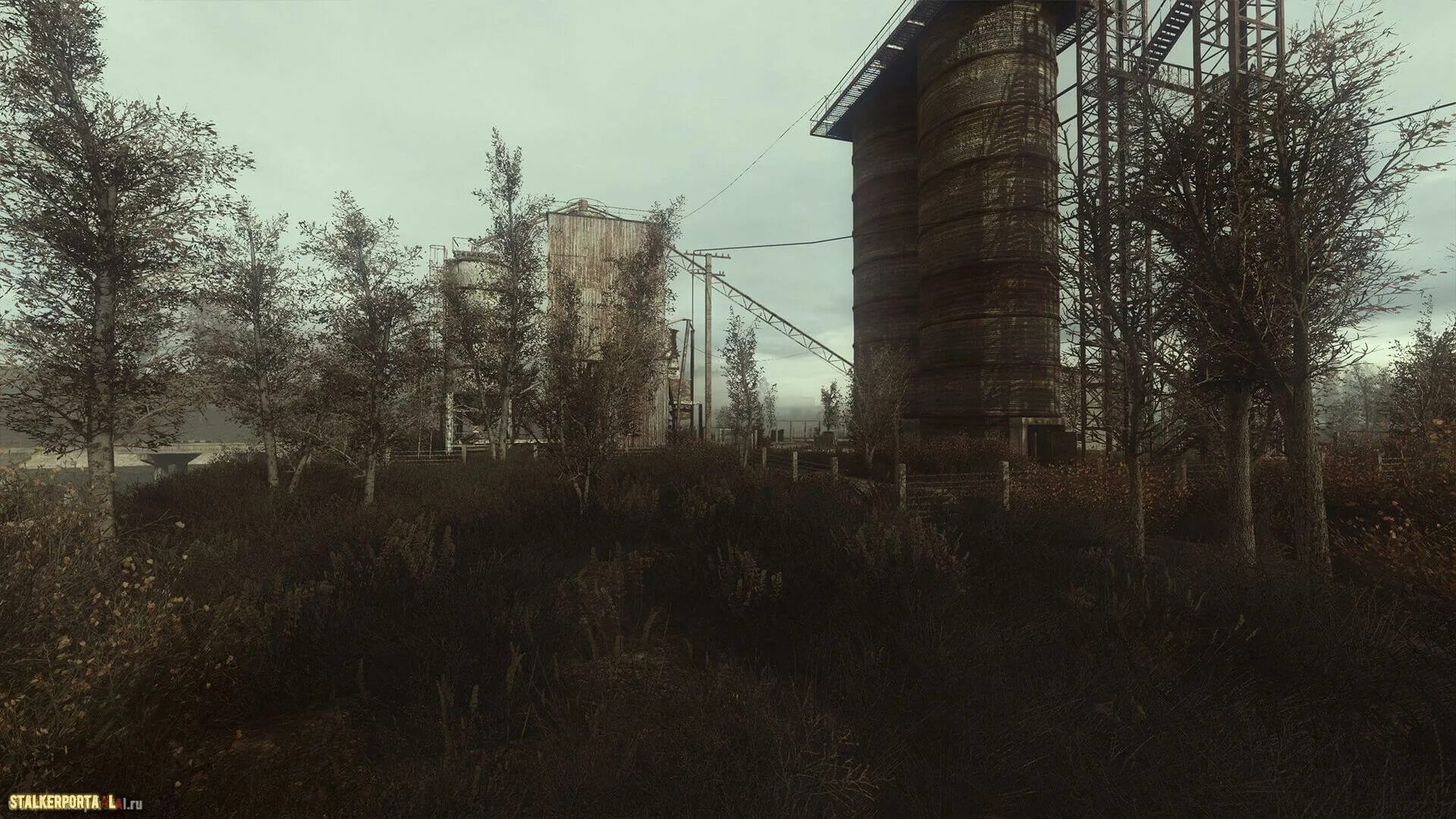 A. Сталкер зов припяти dead air. Stalker dead air летняя растительность. S. T.