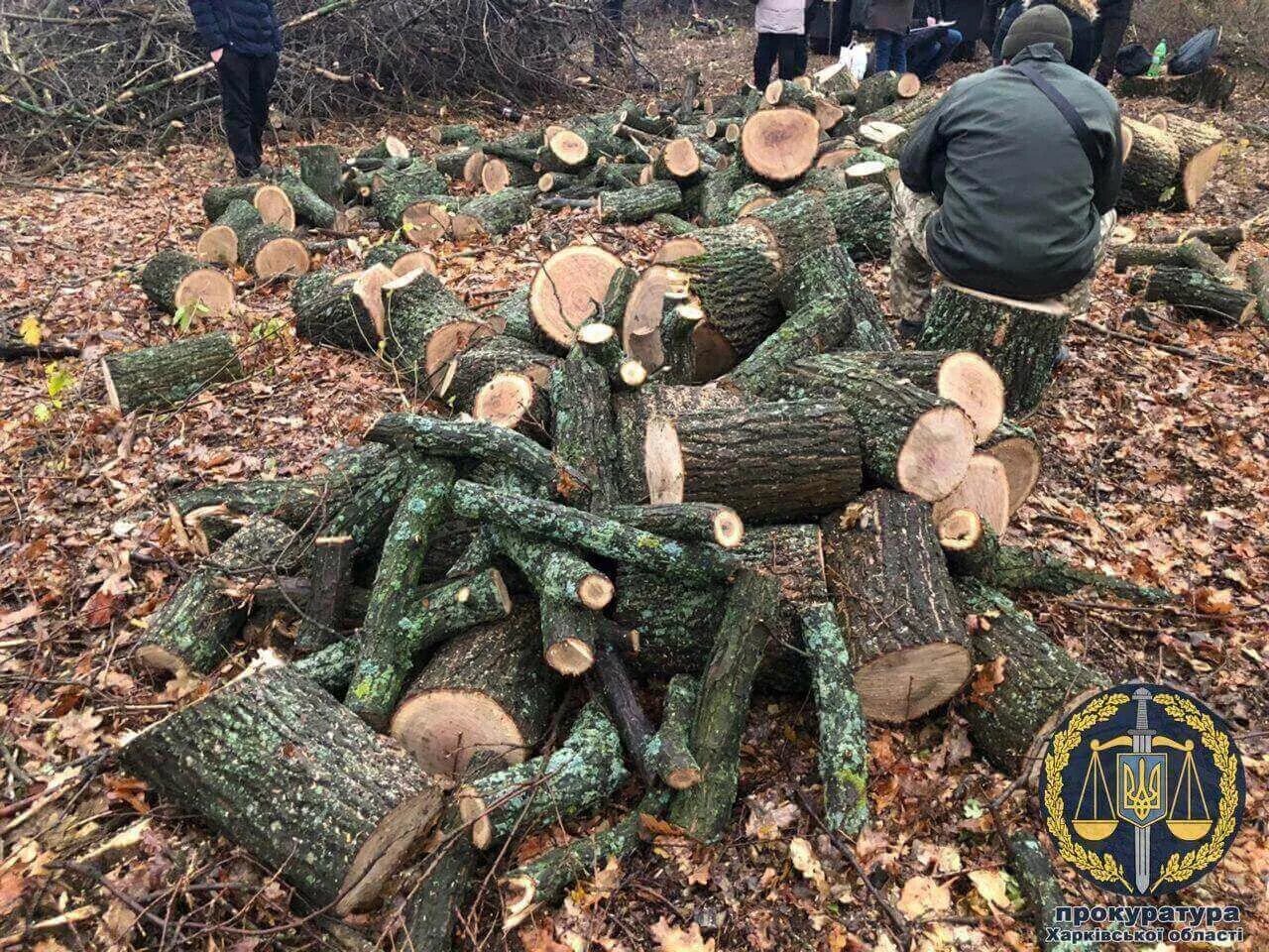 Воровство леса