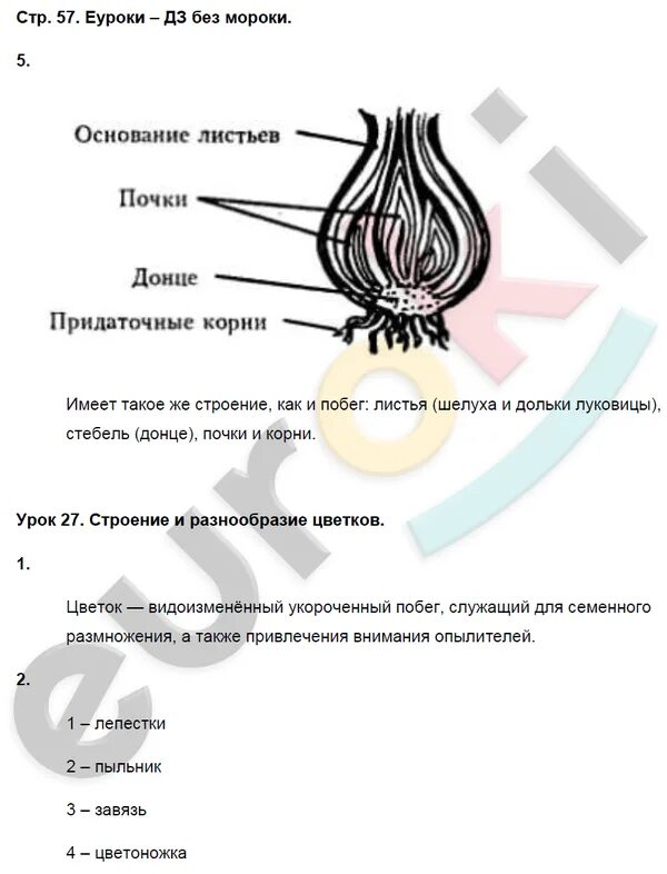 Учебник 8 класс пасечник ответы. Тетрадь биологии 7 класс Пасечник. Биология Пасечник 7 рабочая тетрадь. Биология 7 класс рабочая тетрадь Пасечни.