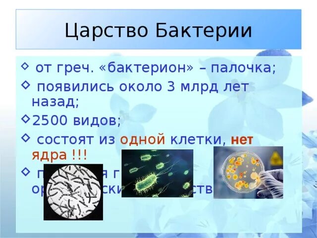 Царство бактерий примеры. Царство бактерий. Характеристика царства бактерий 5 класс. Характеристика царства бактерий 5 класс биология.