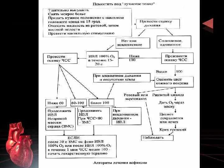 Первый этап реанимации новорожденного. Реанимационные мероприятия при асфиксии новорожденного. Реанимация новорожденного при асфиксии алгоритм. Этапы реанимации при асфиксии. Алгоритм реанимации новорожденных при асфиксии.