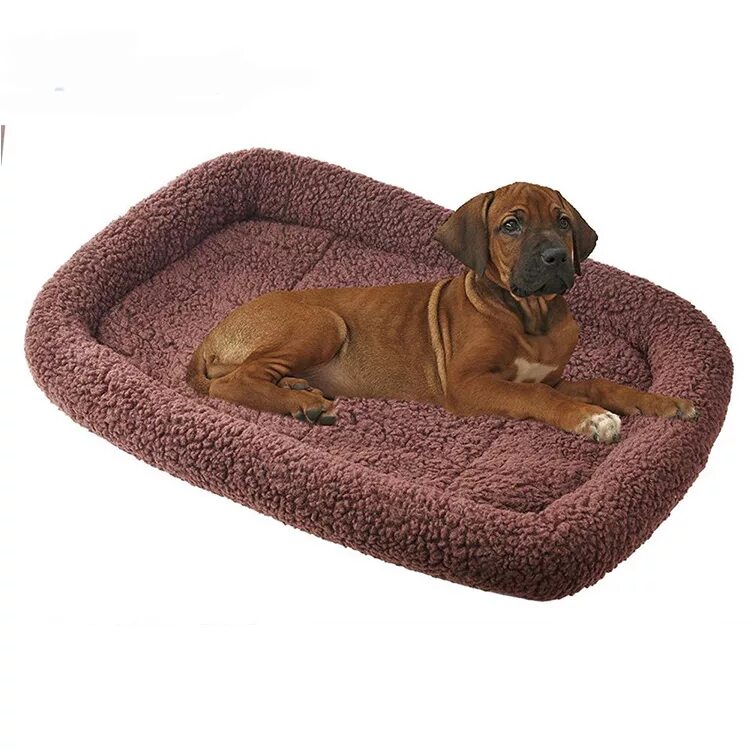 Лежанка для крупных пород. Кровать для собак крупных пород. Кровать для больших собак крупных пород. Кровать для собаки Люкс. Подушка ящик для кошки.