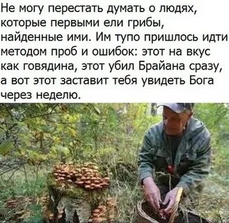 Сережа с отцом и матерью собирали грибы