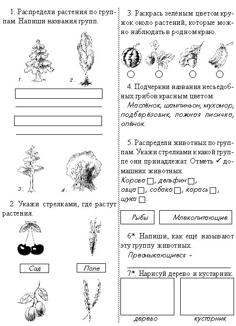 Итоговая контрольная по окружающему миру 1 класс. Проверочные работы окружающий мир 1 класс работы школа России. Задания по окружающему 1 класс. Заданияя по окружающему мит. Окружающий мир первый класс задания.