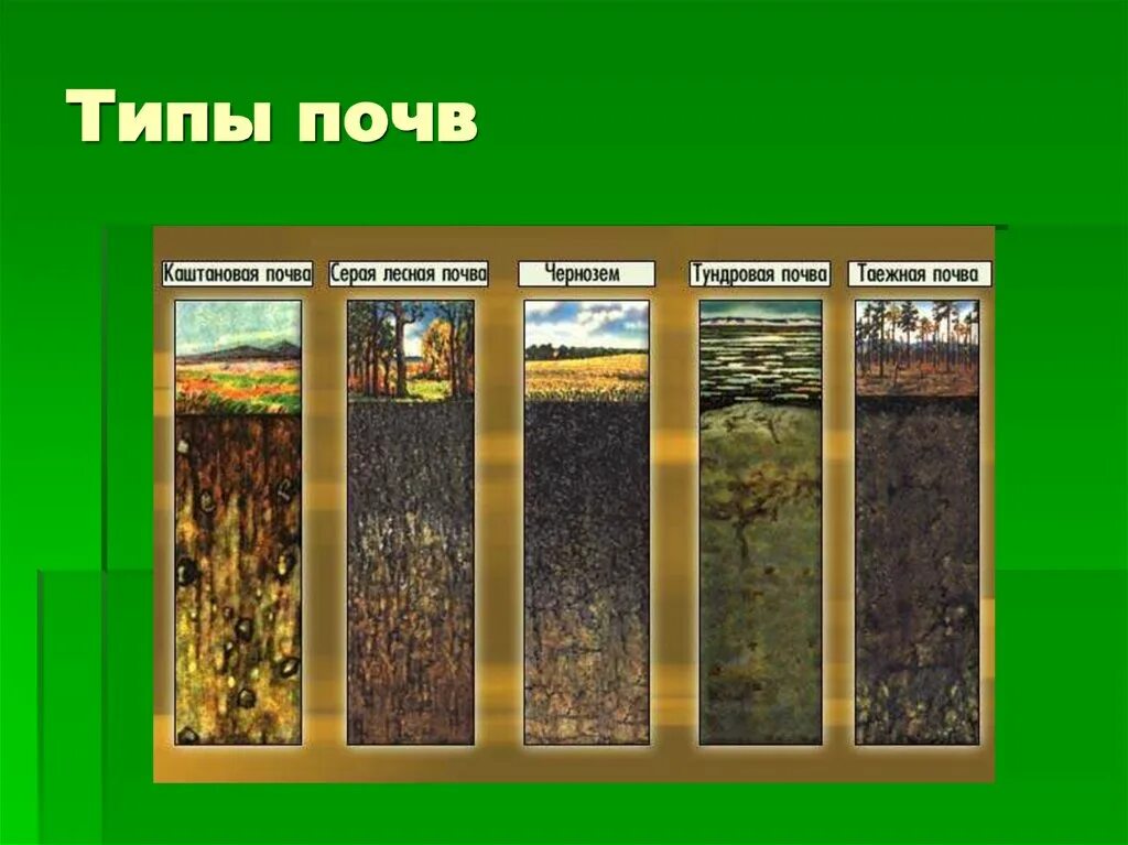 Основные типы почв России 8 класс география. Главные типы почв России 6 класс. Почвы России 4 класс окружающий мир типы. Типы почв на равнинах в России. Порядок почв с севера на юг