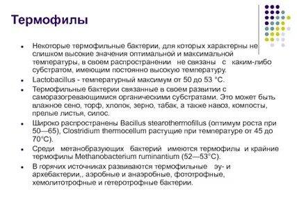 Термофилы