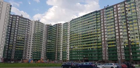 Девяткино 7