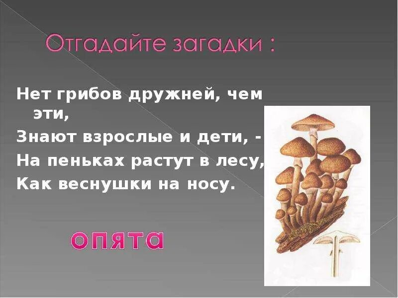Сообщение о грибах 2 класс окружающий. Рассказ о грибах. Гриб рыжик доклад 2 класс. Лисичка гриб описание для детей 1 класса. Гриб маслёнок сообщение.