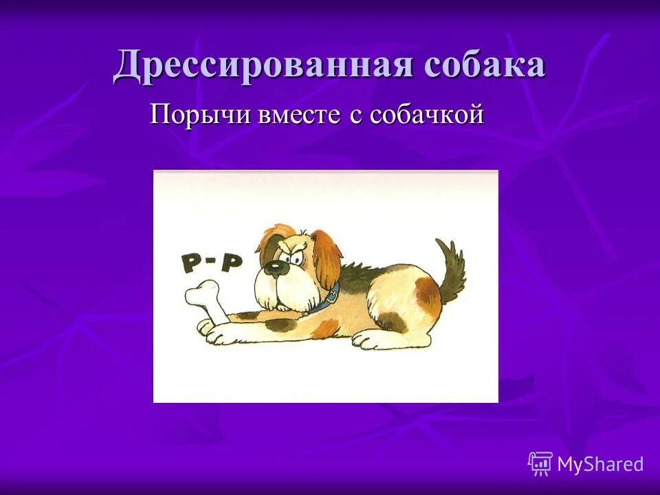 Песня дрессированный щенок. Как правильно дрессировать щенка корги. Песня про собаку. Дрессированные собаки на детский праздник. Мопс дрессировка.