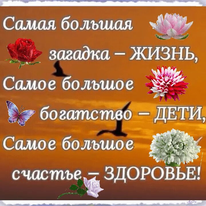 Жизнь загадка для детей. Загадки про жизнь. Загадку по жизнь. Жизнь загадка цитаты. Самая большая загадка это жизнь.