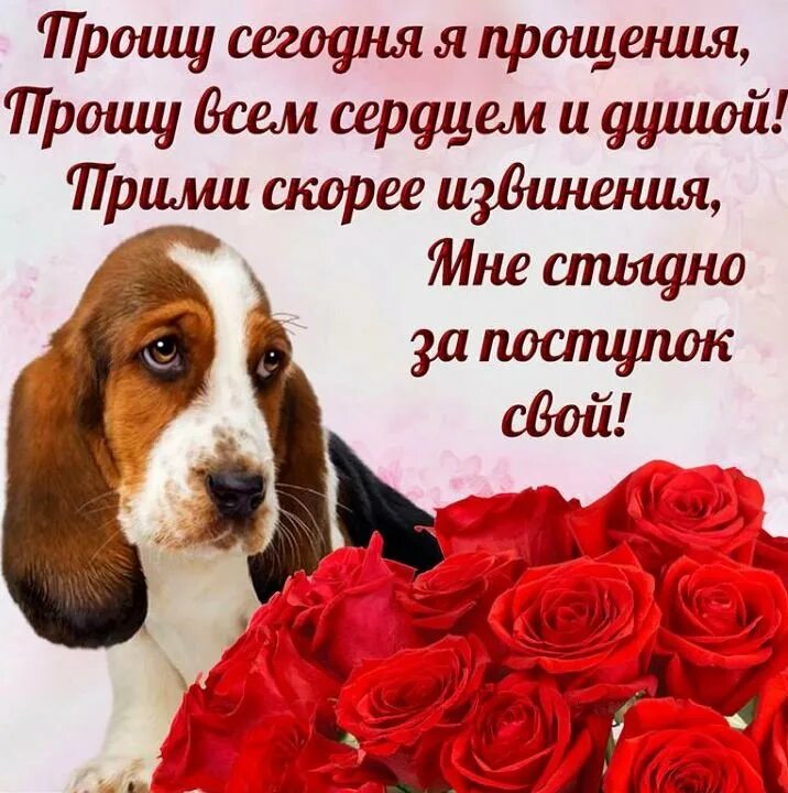 Картинка прошу. Открытки с извинениями. Открытка "прости". Открытка с извинениями подруге. Открытка прости меня пожалуйста.