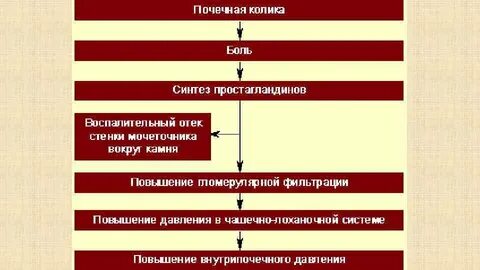 Мочекаменная болезнь почечная колика