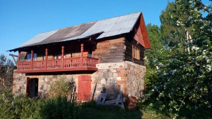 Дрегли новгородская область. Деревня Заосье Батецкий район. Деревня Дрегли Новгородская область. Сайт деревни Дрегли. Заосье Новгородский район деревня.