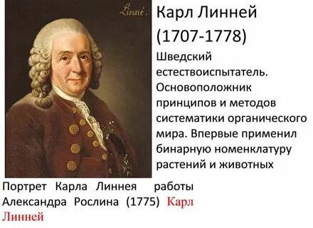 Линней годы