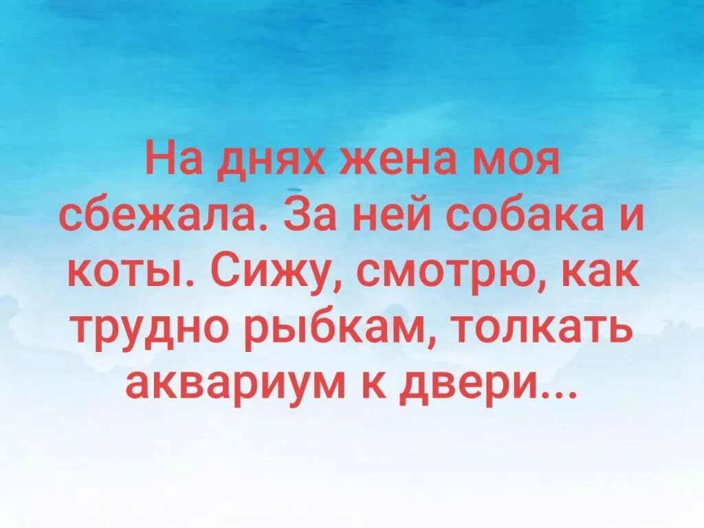 Не лезьте в чужую жизнь. В идеальной семье жена не знает откуда берутся деньги. цитаты про людей которые лезут в чужую жизнь. люди которые лезут в чужую семью. цитаты о женщинах которые лезут в чужие семьи.