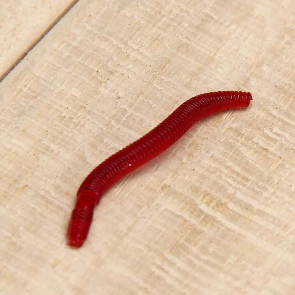 Красные червячки личинки. Larva красный червяк. Маленький красный червяк. Красные калифорнийские черви. Маленькие красные черви.