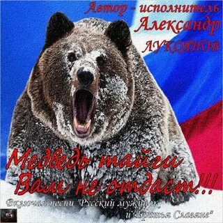 Песня медведь тайга