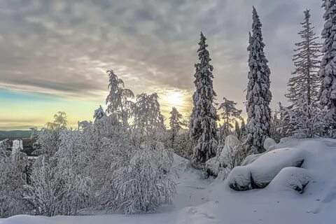 Свет урала