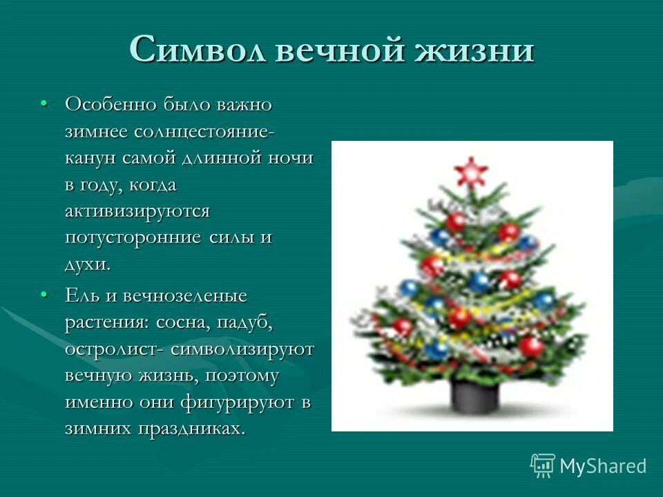 Елка символ нового года. Новогодняя елка символизирует. Рождественский символ елка. Символы нового года в России. Новый год почему елка