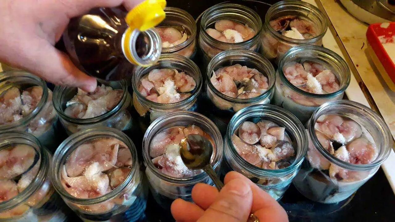 Простой рецепт рыбной консервы. Консервы из скумбрии в автоклаве. консервы иваси в автоклаве. консервы скумбрия в масле в автоклаве. консервы из мойвы в автоклаве.
