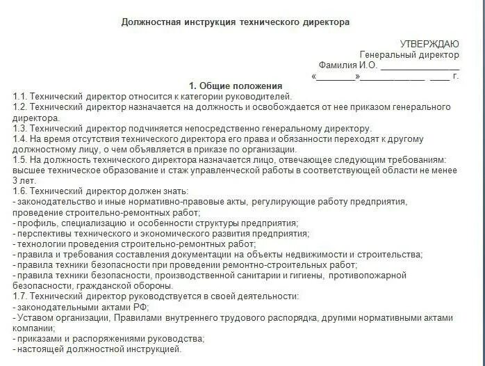 Должностные обязанности заместителя директора образец. Должностная инструкция руководителя. Должностная инструкция технического директора. Должностные обязанности заместителя директора компании.