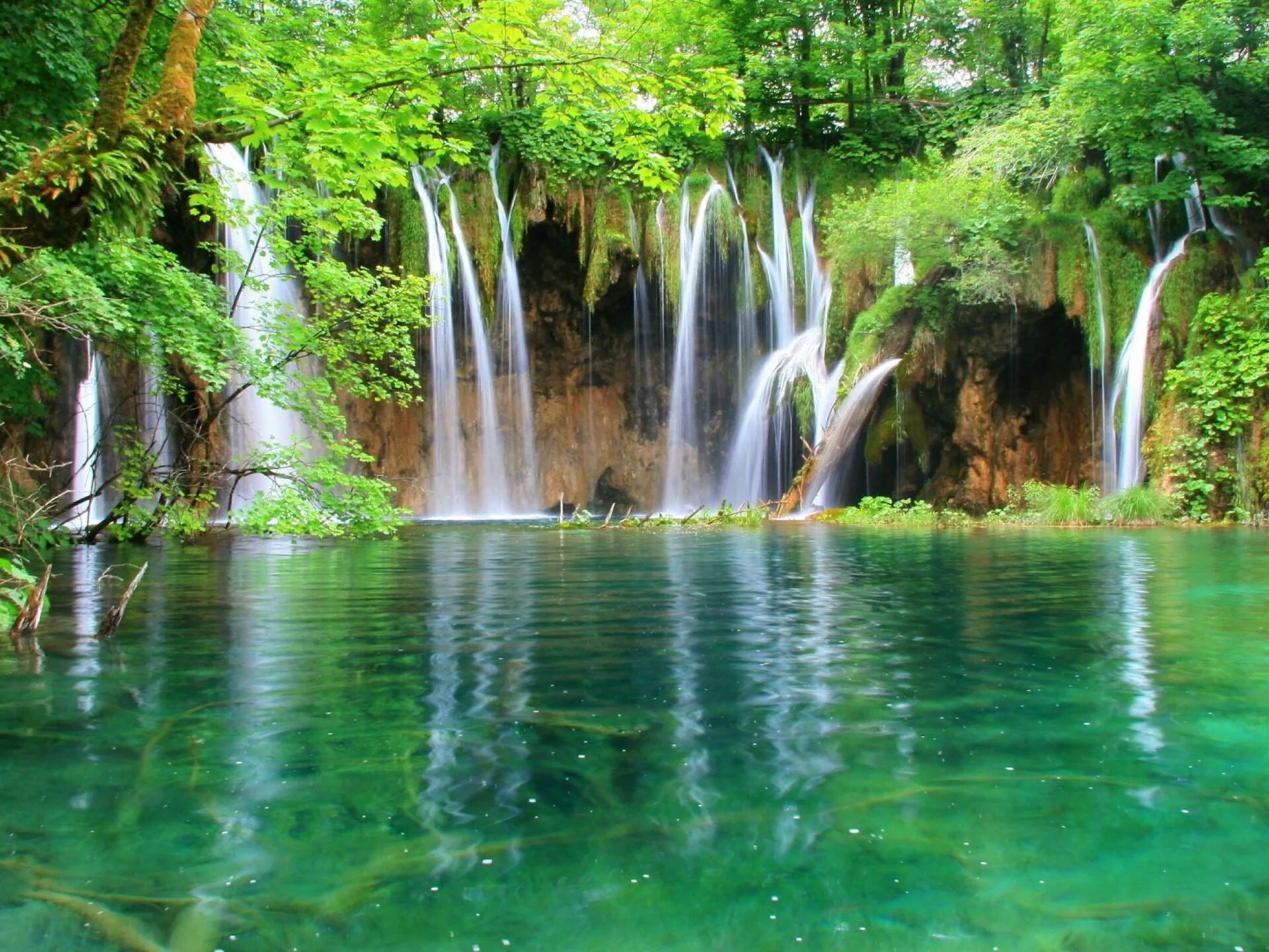 2 live natural. Вода в природе. Красота природы водопад. Зеленый водопад. Природа зеленая водопад.