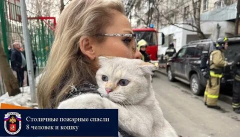 Спасите 8