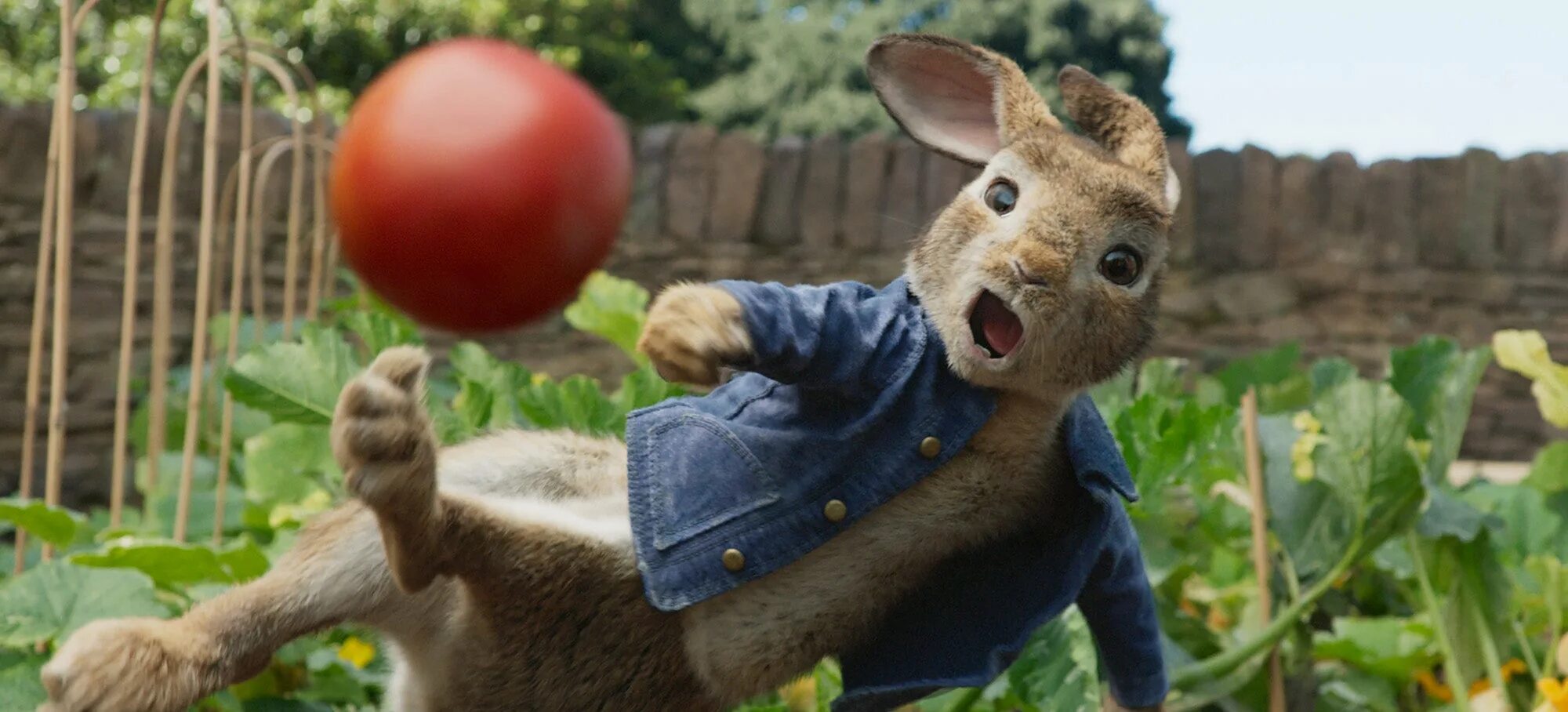 Rabbit movie. Кролик Питер (2018) Peter Rabbit. Сиа кролик Питер.