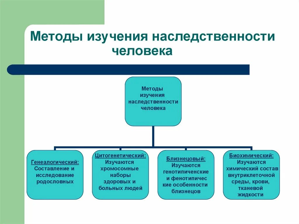 Методы изучения наследования. Методы исследования наследственности. Основные методы наследственности. Методы изучения наследственности человека. Методики изучения человека