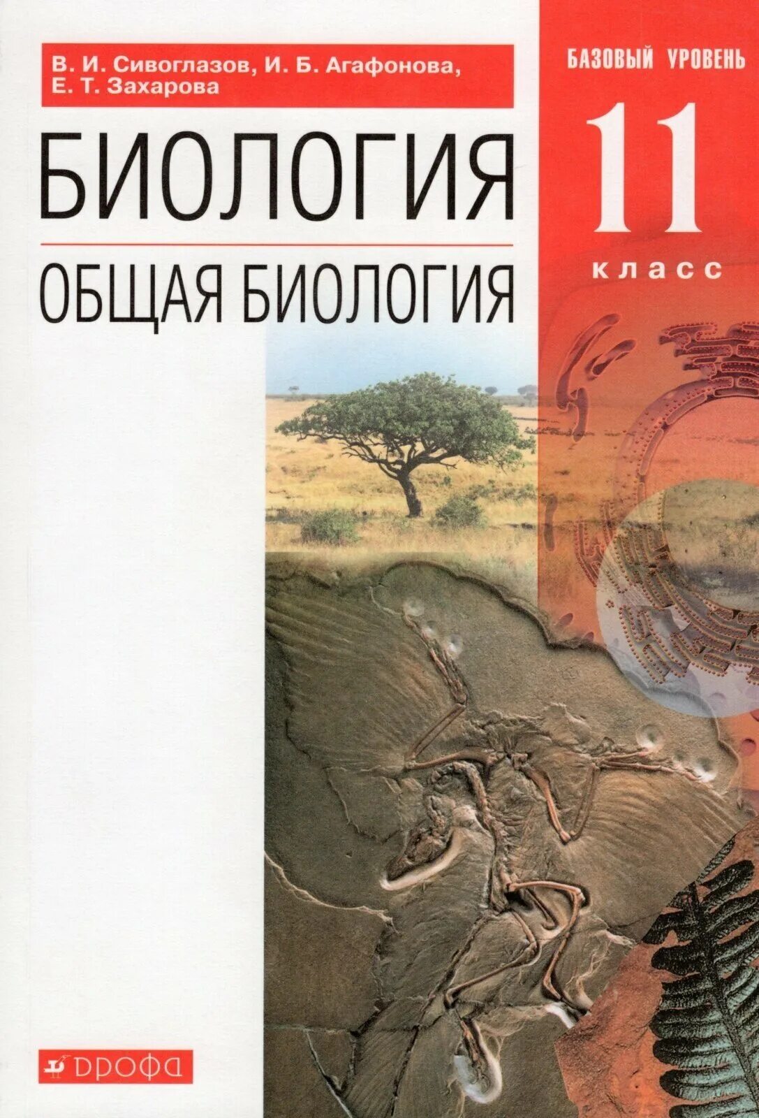 Учебник биология 11 класс Сивоглазов Агафонова Захарова. Учебник биологии 11 класс Сивоглазов Агафонова Захарова базовый. Биология. 11 Класс общая биология Сивоглазов,Агафонова,Захарова. Биология. 11 Класс. Учебник..