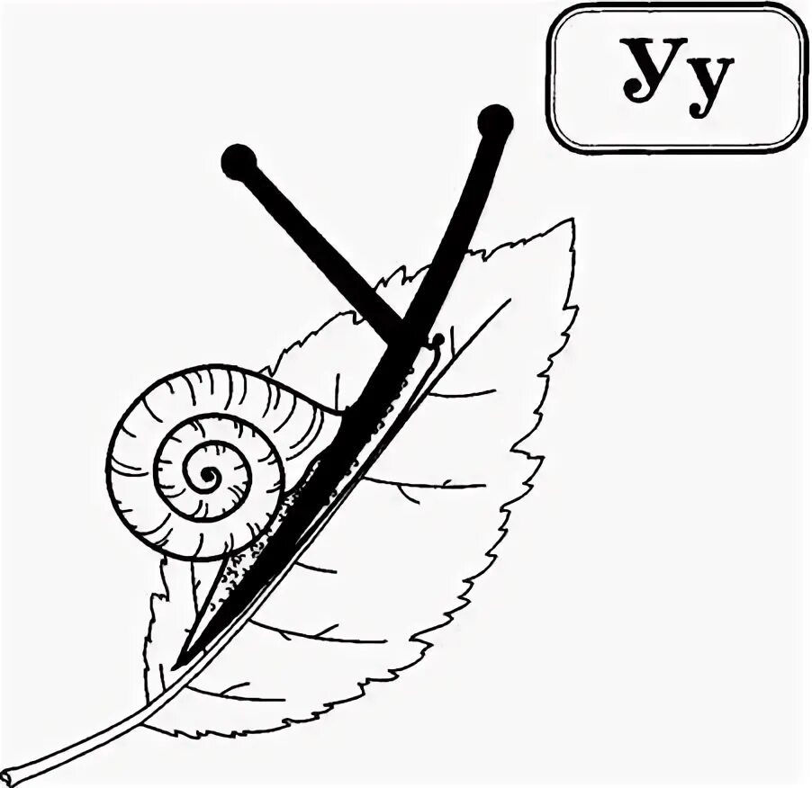 Буква у улитка. На что похожа буква. Буква образ. Буква у улитка раскраска. Буква у в виде улитки.