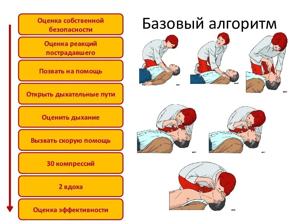 Остановка дыхания алгоритм. Алгоритм оказания СЛР сердечно-легочной реанимации. Базовая сердечно-легочная реанимация алгоритм. Алгоритм оказания первой помощи при сердечно-легочной реанимации. Порядок оказания первой помощи пострадавшему при отсутствии дыхания.