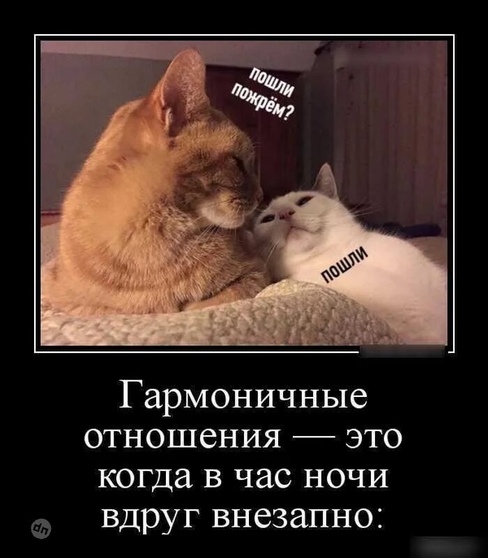 Цитаты про любовь и отношения. Пост отношения. Фотосессия влюбленных. Высказывания про отношения. Цитаты про мужчин и женщин отношения.