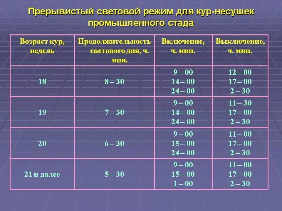 Нужно ли цыплятам ночью свет. Световой режим для кур несушек. Режим освещения для цыплят несушек. Световой день для кур несушек. Световой режим для бройлеров.