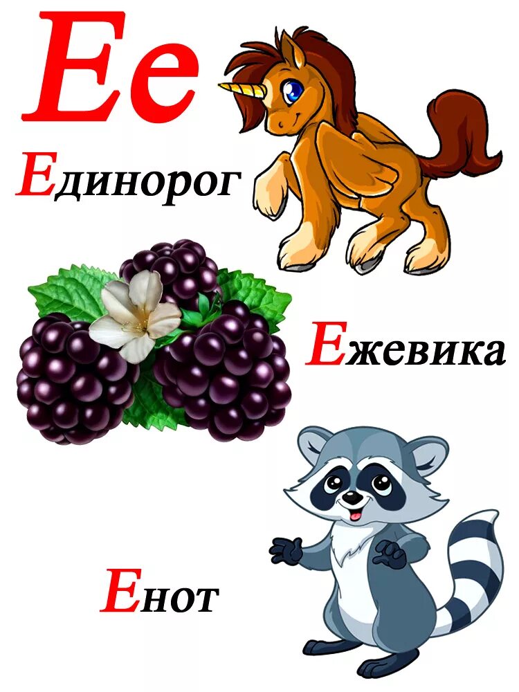 Слова на о б е д р. Слова на букву е ё. Слова на букву е в начале. Слова начинающиеся на букву е. Слова на букву е для детей.