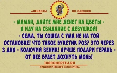 Одесские анекдоты свежие